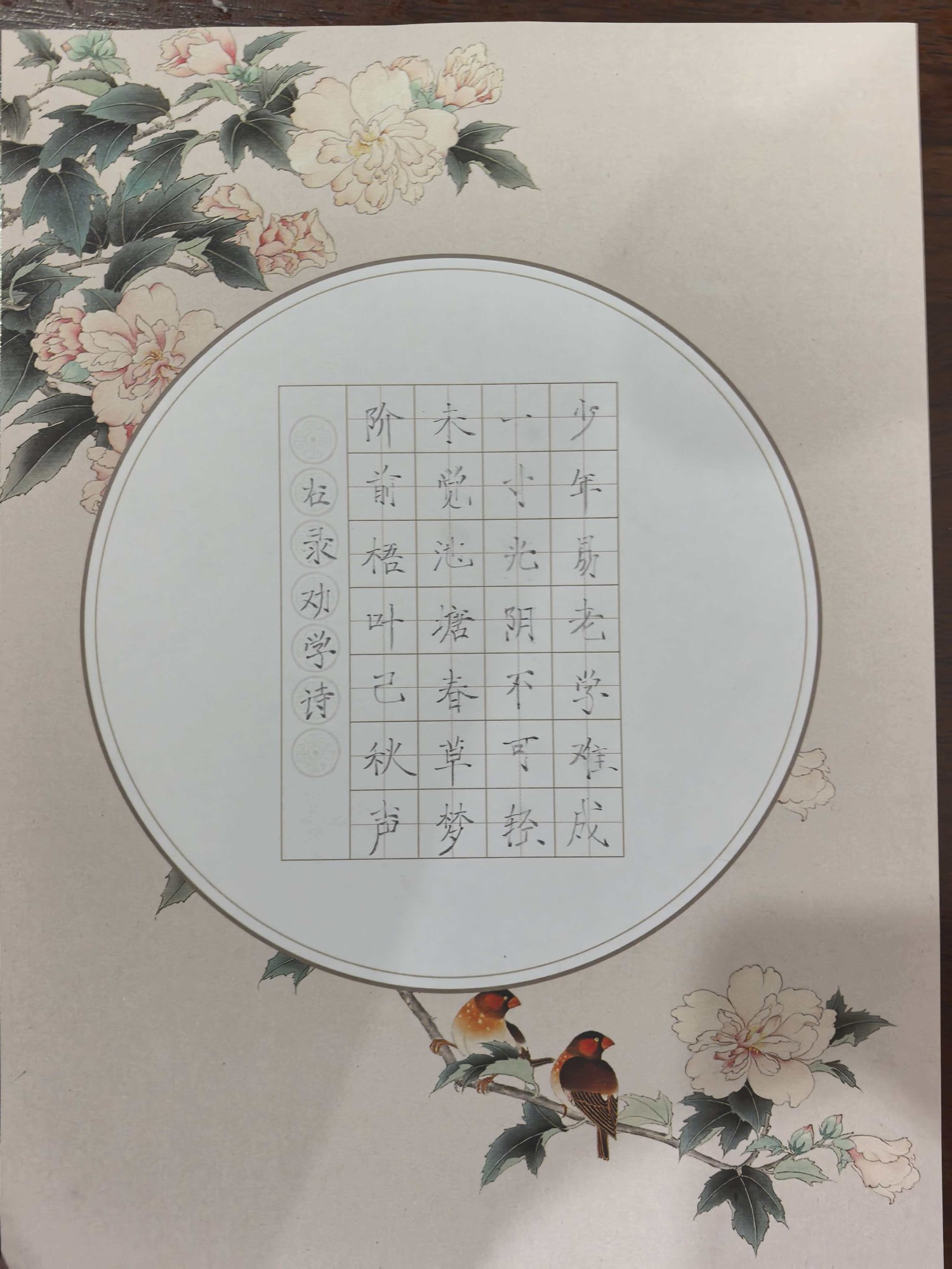 2026年6月学员优秀作品展示